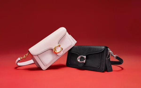 C Double Straps Bag